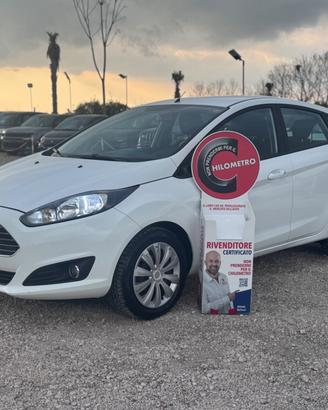Ford Fiesta 1.5 TDCi 75CV 5 porte Titanium