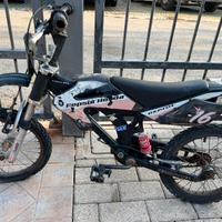Bici-moto