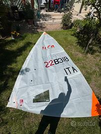 Vela ilca 4 hyde da regata