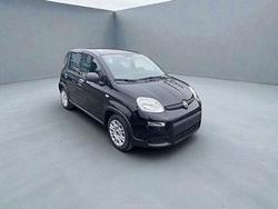 FIAT Panda 1.0 FireFly 70cv S&S Hybrid