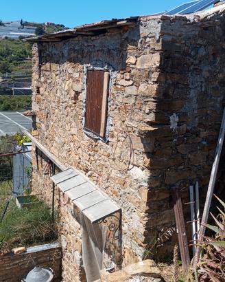 Terreno agricolo con rustico