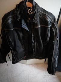 Giacconi Moto Frank Thomas 