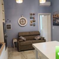 Bilocale Ristrutturato Arredato Utenze Attive