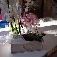 Fioriere artigianali in ferro mille usi Anni 1970