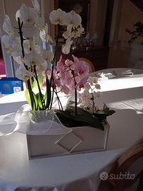 Fioriere artigianali in ferro mille usi Anni 1970