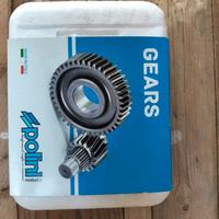 Rapporti Polini Minarelli 