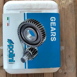 Rapporti Polini Minarelli 