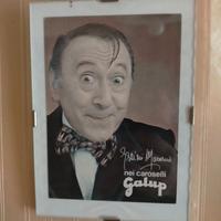 COPPIA QUADRETTI GALUP