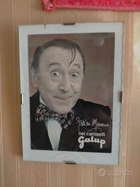 COPPIA QUADRETTI GALUP