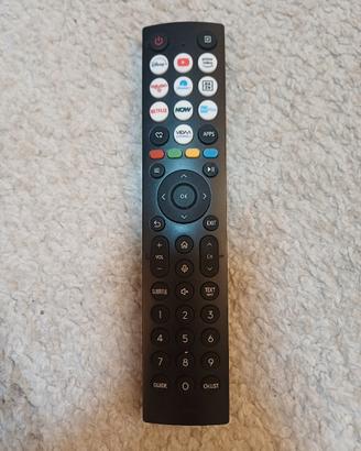 Telecomando Tv Hisense originale