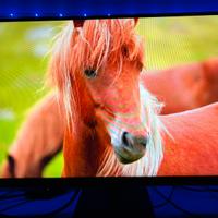 Monitor Hp V27i G5 (75Hz)