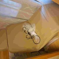 lettino da massaggio