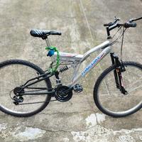 bicicletta adulto longway 