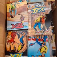 tex da collezione 