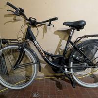 bicicletta  da donna
