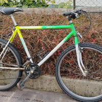Mountain bike 