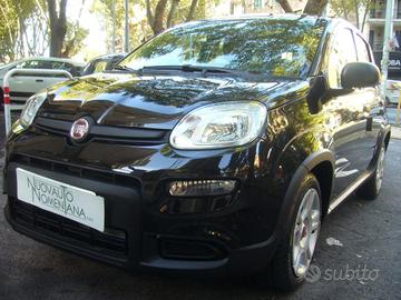 FIAT Panda 1.0 FireFly S&S Hybrid My24 Radio Fia