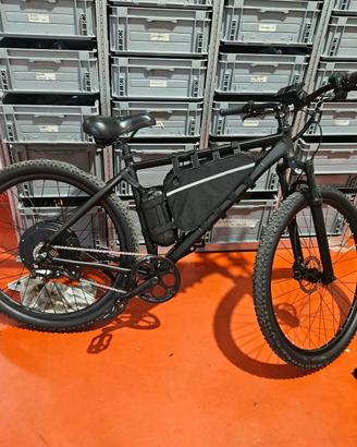 Bici elettrica