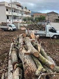 tronchi di legna di noce nazionale