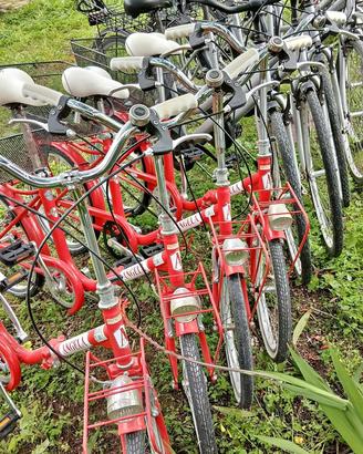 Biciclette in stock