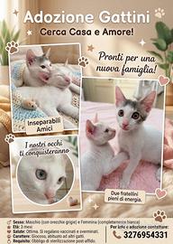 Due fratelli un ?