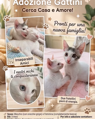 Due fratelli un ?