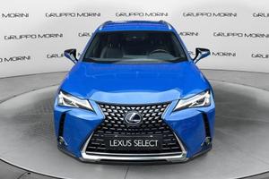 Lexus UX Full Electric UX 300e 54,3kWh Premium