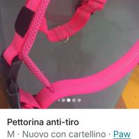 Pettorina cane