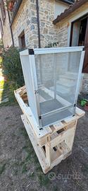 Teca per camaleonti 