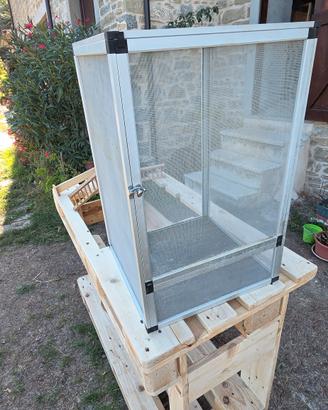 Teca per camaleonti 