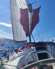 Uscite a vela da Talamone