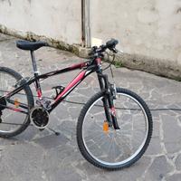 Bicicletta MTB mountain bike per ragazzi