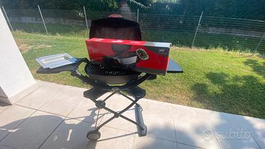 Barbecue webr completo