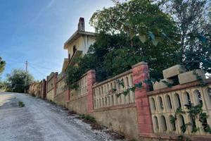 RGE 38/2022 Trib Patti