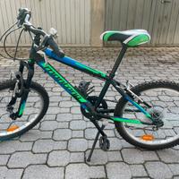 Bici 20 pollici