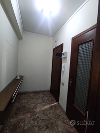 Quadrivani in Viale della Regione