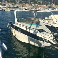 Saver Manta 6.20 + Evinrude E-Tec 115cv