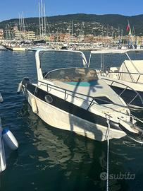 Saver Manta 6.20 + Evinrude E-Tec 115cv