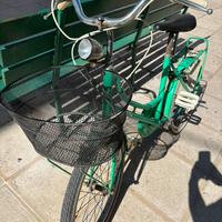 Bicicletta vintage ragazza/o verde con cestello