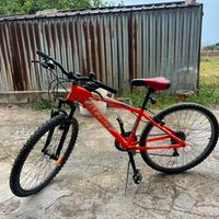 Bicicletta Mountain bike