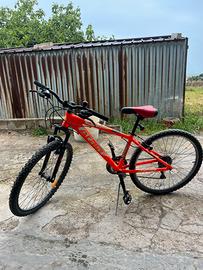 Bicicletta Mountain bike