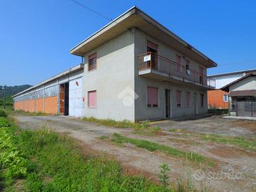 CASA INDIPENDENTE A COSSATO