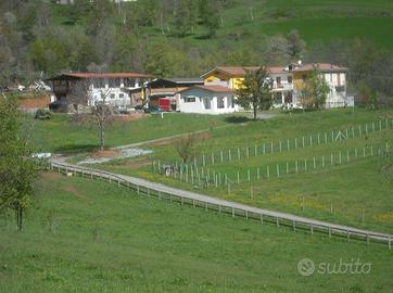 Terreno e stalla