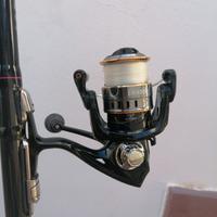 Canna bolognese 4 mt.