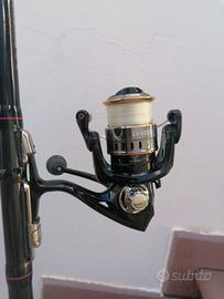 Canna bolognese 4 mt.