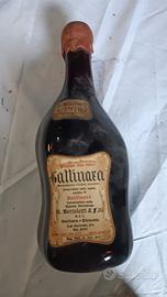 Vino Gattinara