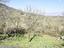 Immagine 28