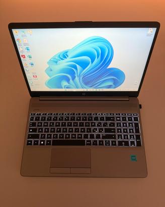 Computer portatile HP 250 G9 Silver