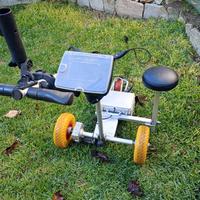 Carrello da Golf