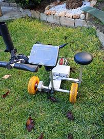 Carrello da Golf